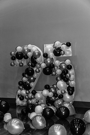 3P2A1129bw